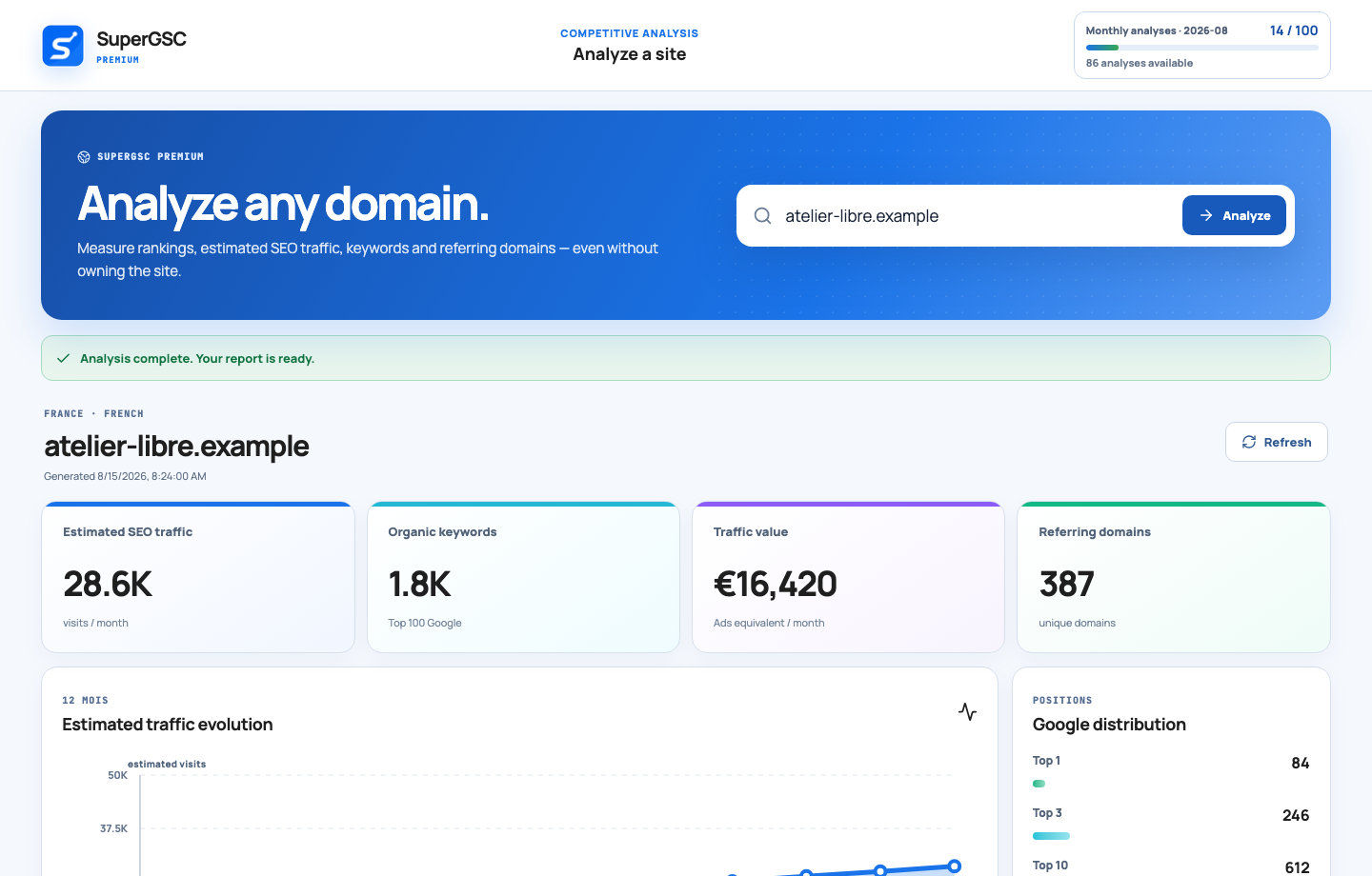 Premium external-domain analysis shown with demonstration data